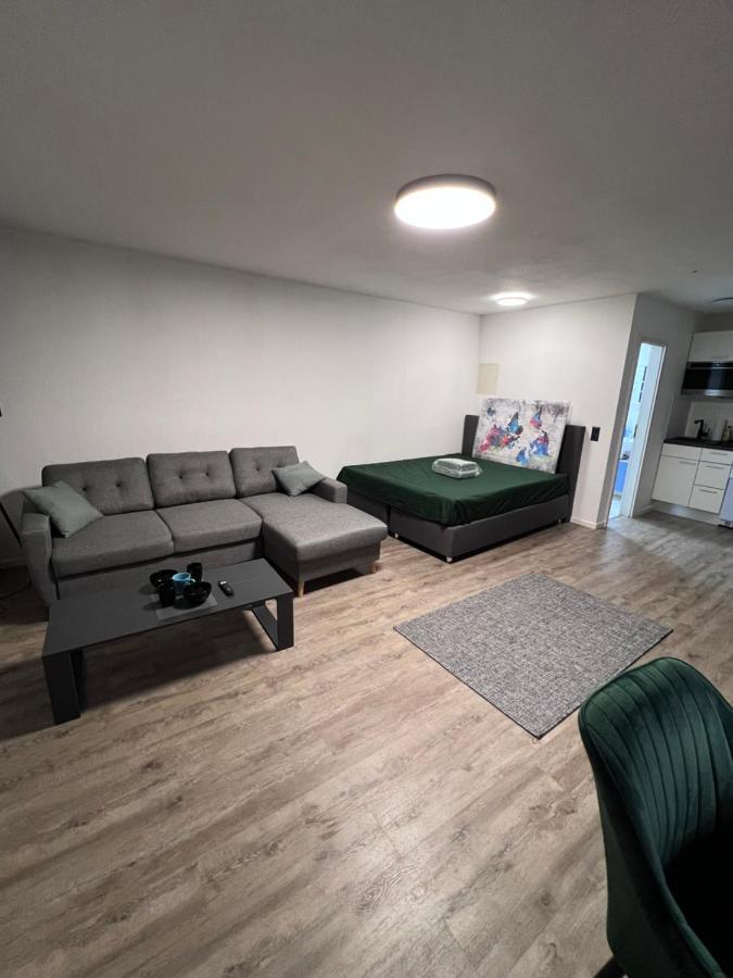 Business Apartment Καρλσρούη Εξωτερικό φωτογραφία